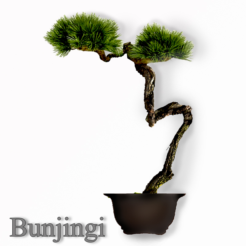 Bunjingi style