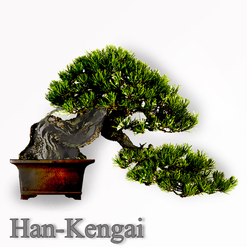Han Kengai style