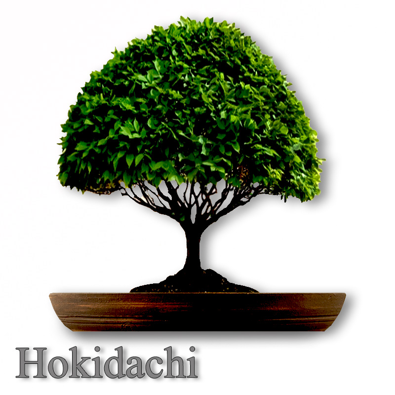 Hokidachi style