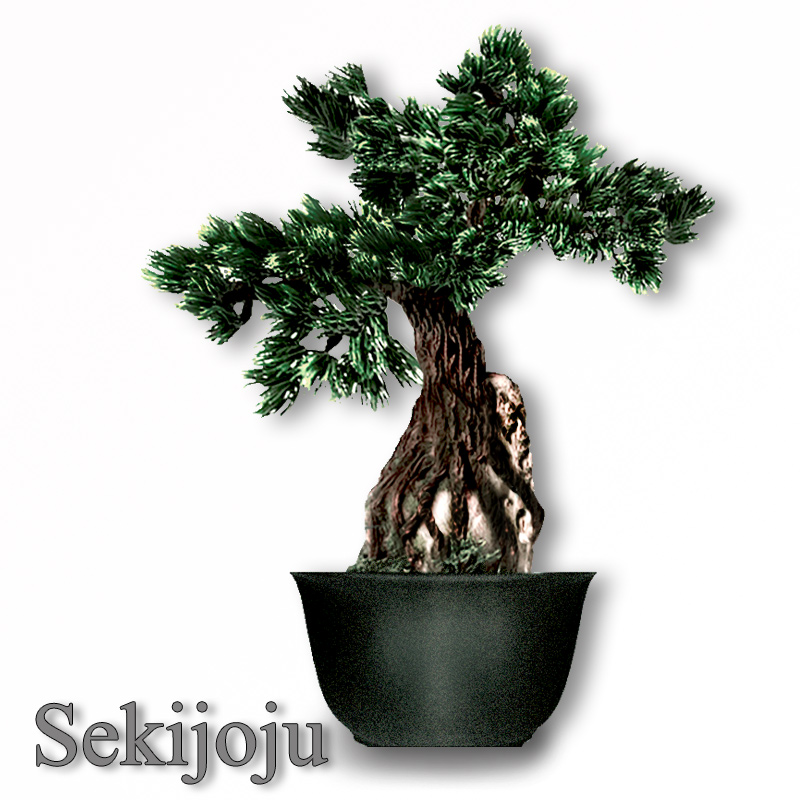 Sekijoju style