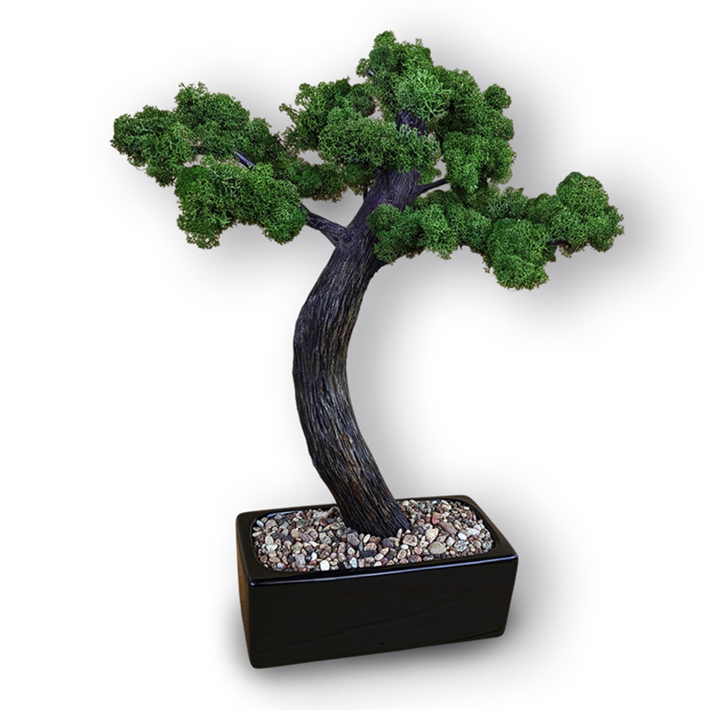 Miniatūrs koks