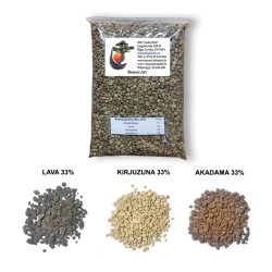 Bonsai grunts (lava : kirjuzuna : akadama)