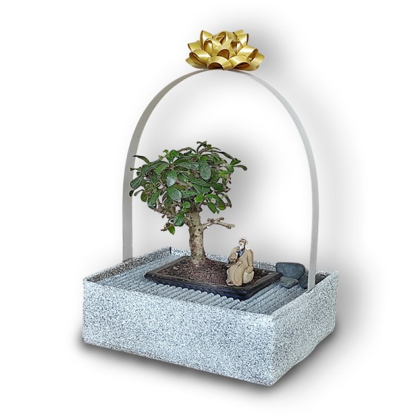 Bonsai dāvana (30161)