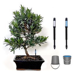 Augsnes mitruma indikators (8028)