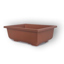 Konteiners priekš bonsai audzēšanas