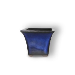 Zils konteiners paredzēts bonsai