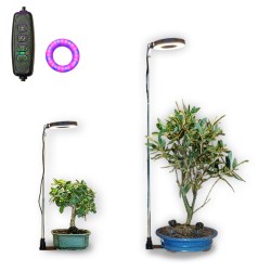 LED augu audzēšanai (8241)