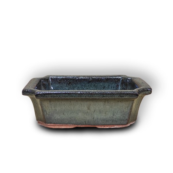 Keramiskais pods bonsai audzēšanai