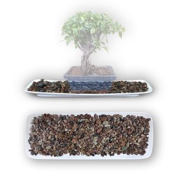 Metal tray (8281)