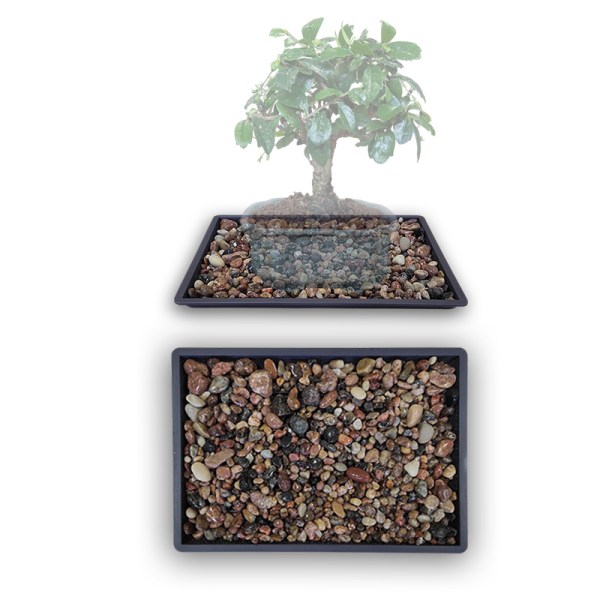 Plastmasas paliktnis ar akmentiņiem