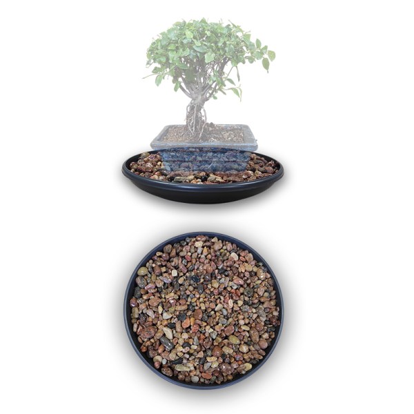 plastmasas trauks ar akmentiņiem