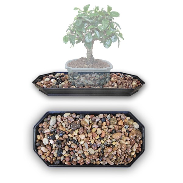 Plastmasas paliktnis ar akmentiņiem