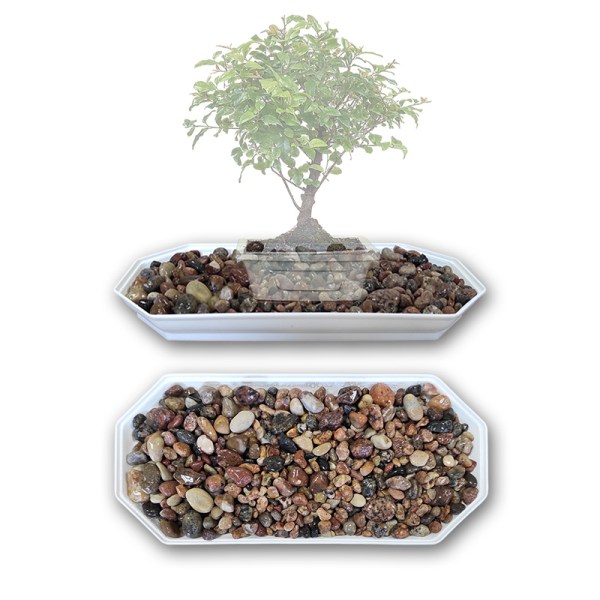 Plastmasas paliktnis ar akmentiņiem