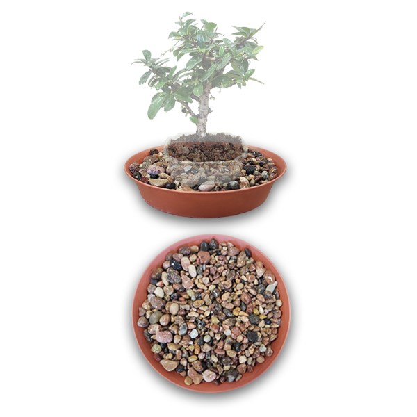 Plastmasas trauks ar akmentiņiem