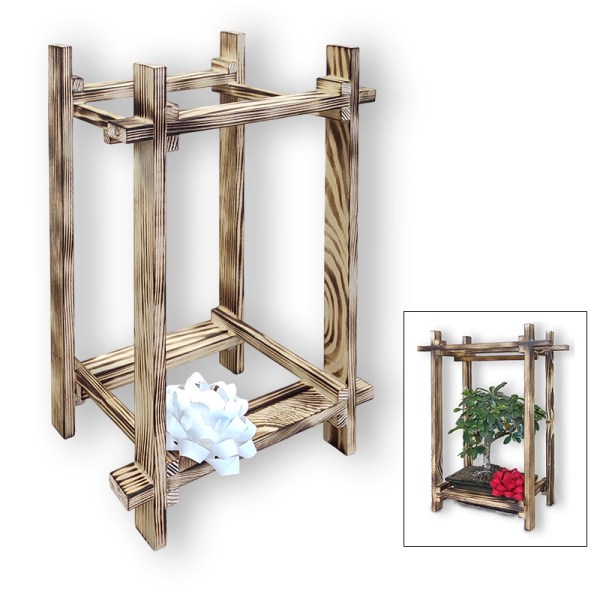 Bonsai dāvanu displejs