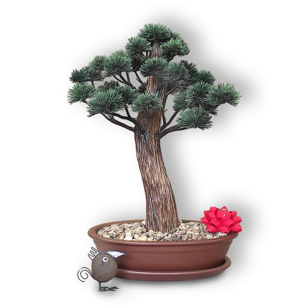 Bonsai dāvana (90231)