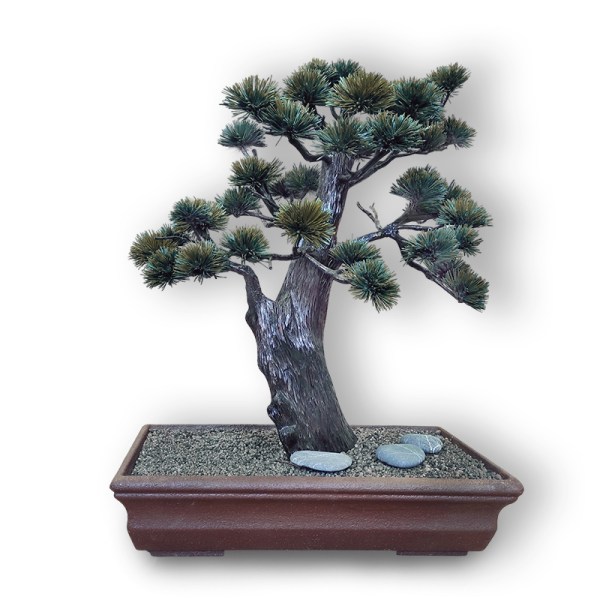 Stabilizēts bonsai