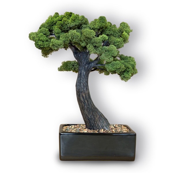 Izgatavota no stabilizēta (konservēta) dabas materiāla un kompozīta.