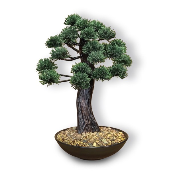 Bonsai replikām ir vairākas priekšrocības salīdzinājumā ar dabīgiem augošiem kokiem: - veidošanai nav nepieciešami desmitiem gadu; - nav nepieciešams īpašs temperatūras un apgaismojuma režīms