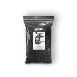 Melnzeme bonsai augsnei